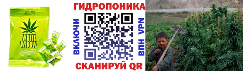 Cannafood конопля  Углич 
