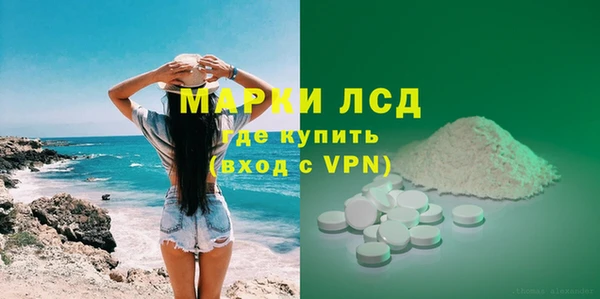 шишки Баксан