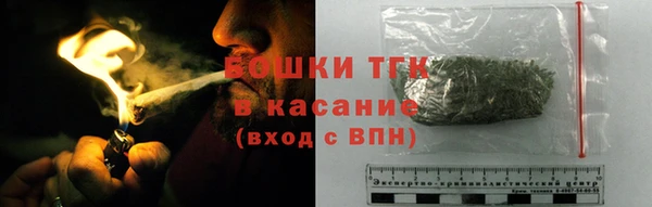 шишки Баксан