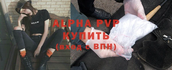 шишки Баксан