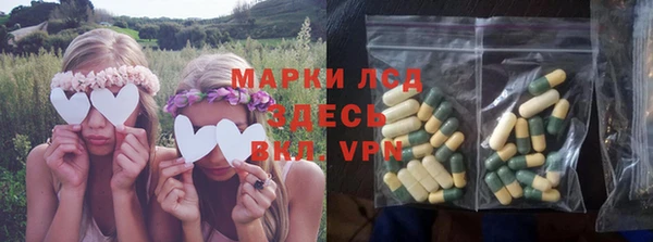 шишки Баксан
