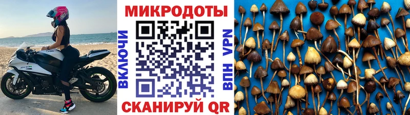 Псилоцибиновые грибы Magic Shrooms  Углич 